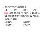 初中生物新北師大版七年級(jí)下冊(cè)第8章 綜合訓(xùn)練作業(yè)課件2025春