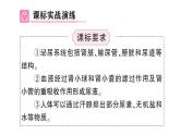初中生物新北師大版七年級(jí)下冊(cè)第4單元第9章 總結(jié)訓(xùn)練作業(yè)課件2025春