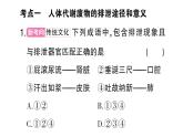 初中生物新北師大版七年級(jí)下冊(cè)第4單元第9章 總結(jié)訓(xùn)練作業(yè)課件2025春