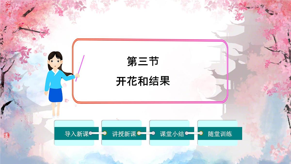 3.1.3 开花和结果 课件-2024-2025学年人教版生物七年级下册第1页