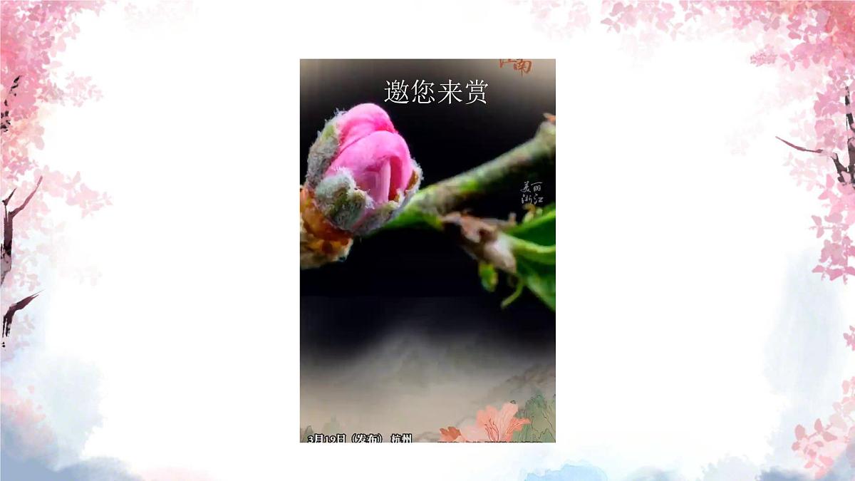 3.1.3 开花和结果 课件-2024-2025学年人教版生物七年级下册第2页