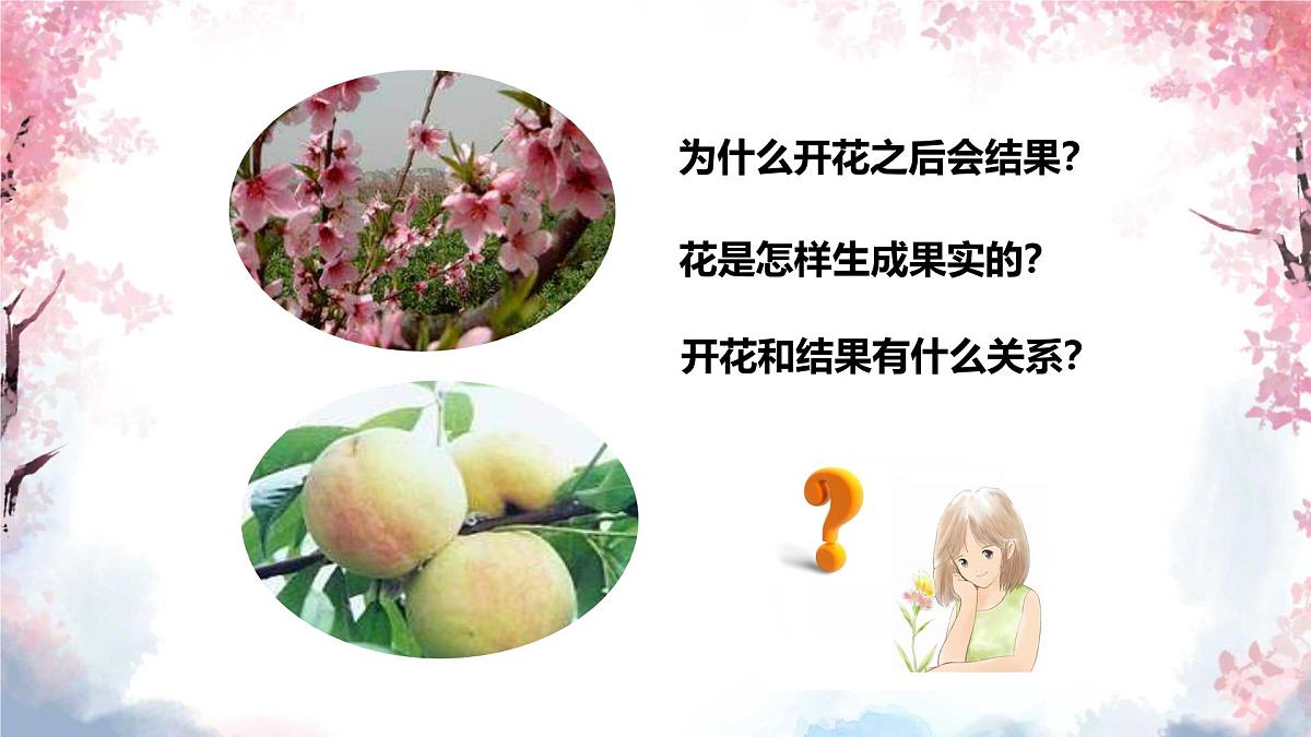 3.1.3 开花和结果 课件-2024-2025学年人教版生物七年级下册第4页