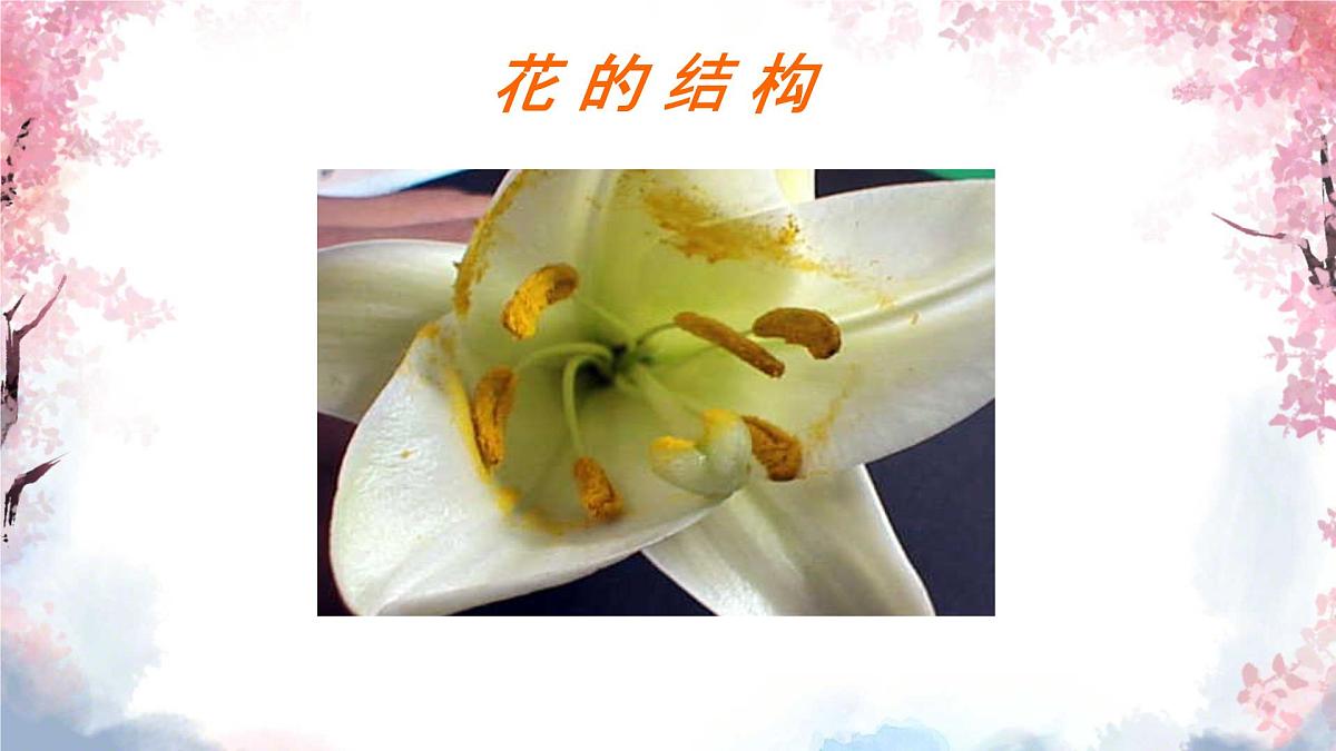 3.1.3 开花和结果 课件-2024-2025学年人教版生物七年级下册第8页