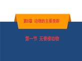 蘇科版生物七年級下冊-第八章 第1節(jié) 無脊椎動物PPT課件