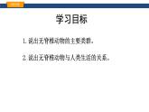蘇科版生物七年級下冊-第八章 第1節(jié) 無脊椎動物PPT課件