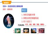 蘇科版生物七年級下冊-第八章 第1節(jié) 無脊椎動物PPT課件