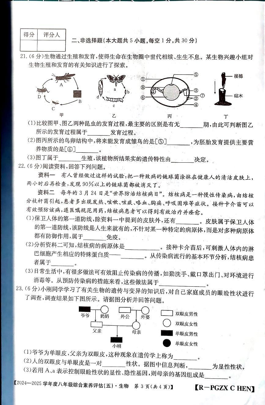 河南省周口2025年八年级下册生物月考试卷及答案第3页