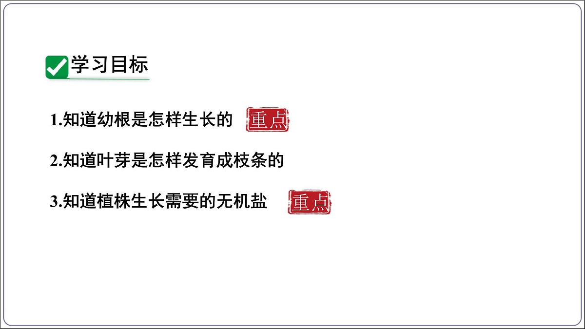 3.1.2 植株的生长 课件-2024-2025学年人教版生物七年级下册第3页