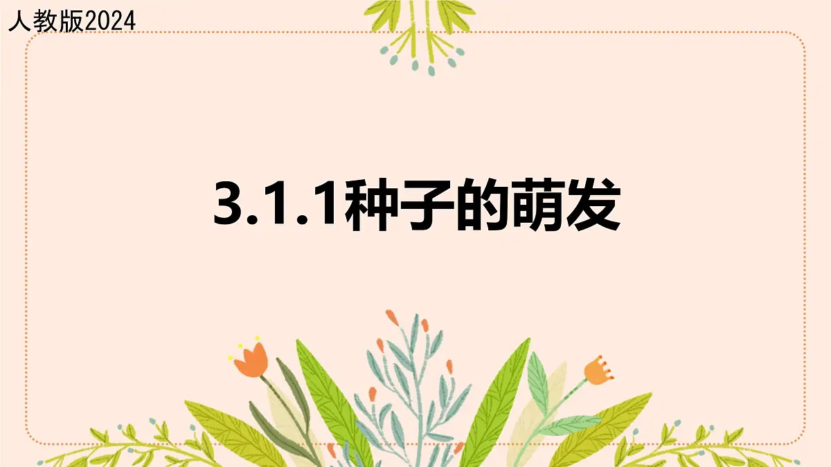 3.1.1 种子的萌发 课件-2024-2025学年人教版生物七年级下册第1页