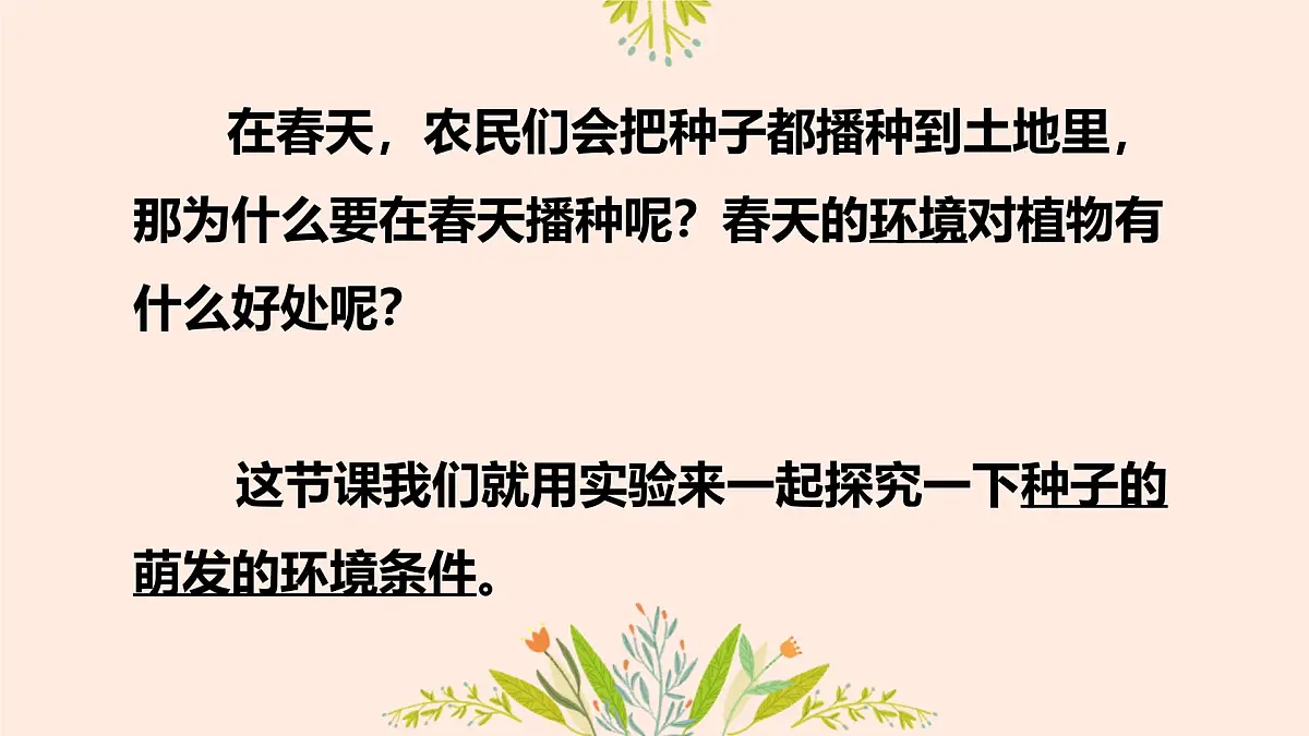 3.1.1 种子的萌发 课件-2024-2025学年人教版生物七年级下册第6页