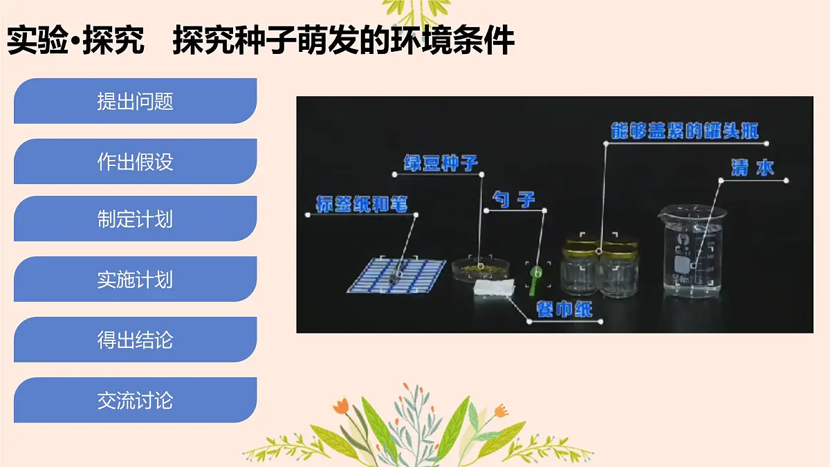 3.1.1 种子的萌发 课件-2024-2025学年人教版生物七年级下册第7页