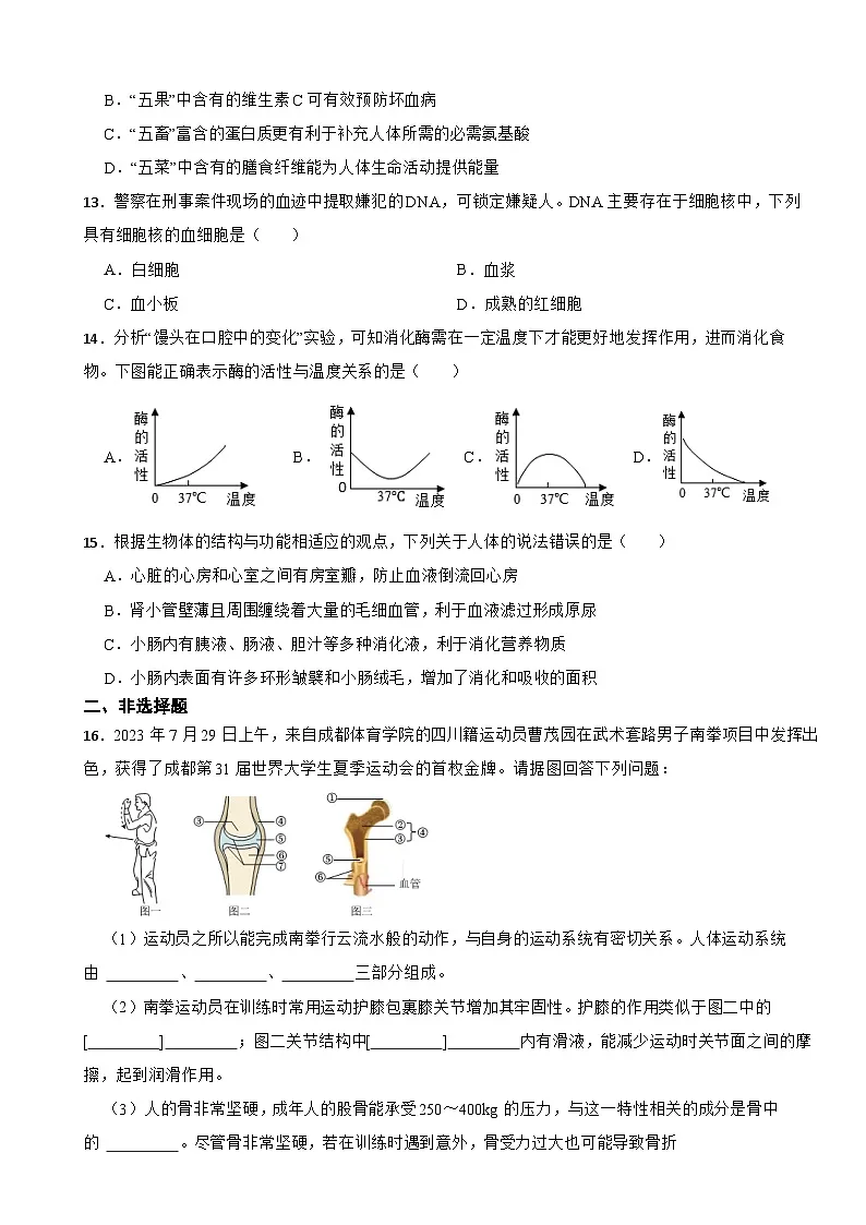 北师大版（2024）生物七年级下册生物期末复习全册综合素养测试卷（含答案解析）第3页