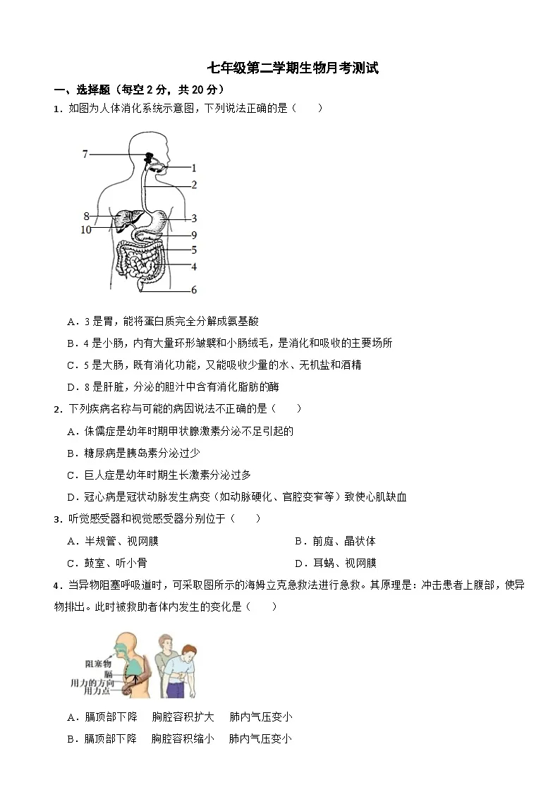 湖北省襄阳市2025年七年级第二学期生物月考测试含答案第1页