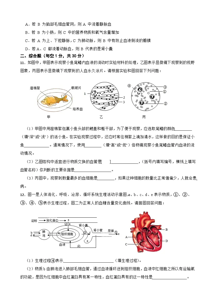 湖北省襄阳市2025年七年级第二学期生物月考测试含答案第3页