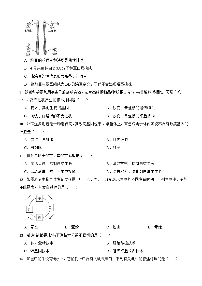 江苏省盐城市2025年八年级下学期期中生物试题含答案第2页