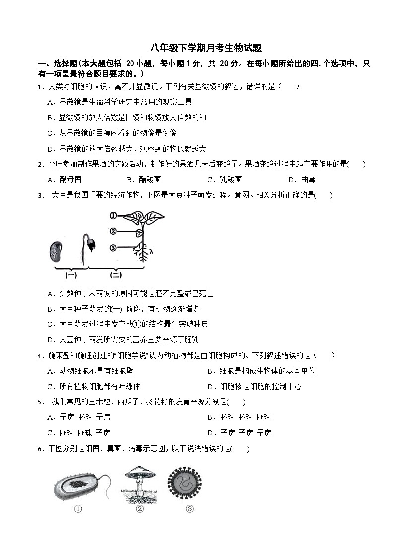 江西省吉安市2025年八年级下学期月考生物试题含答案第1页
