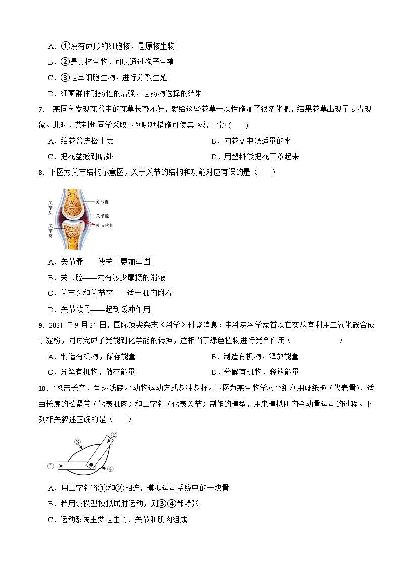 江西省吉安市2025年八年级下学期月考生物试题含答案第2页