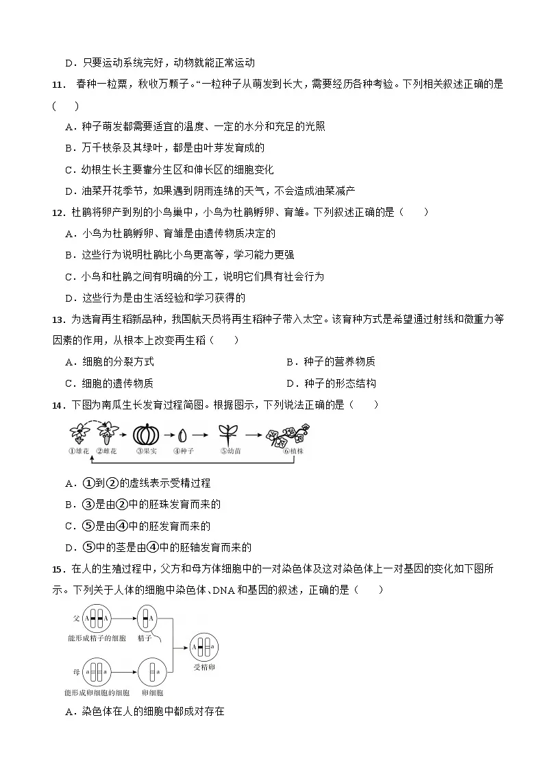 江西省吉安市2025年八年级下学期月考生物试题含答案第3页
