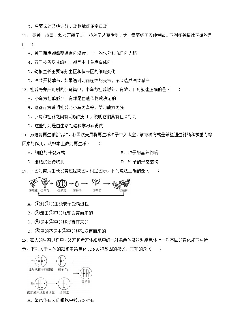 江西省吉安市2025年八年级下学期月考生物试题含答案第3页