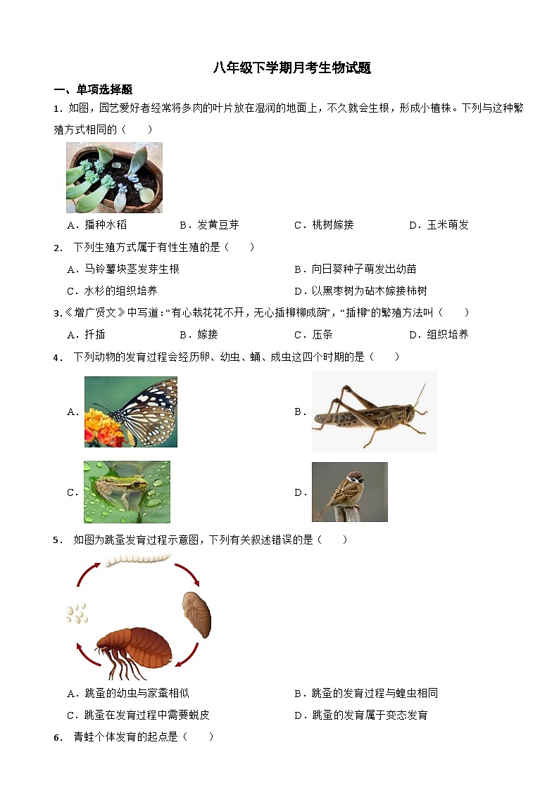 江西省九江市2025年八年级下学期月考生物试题含答案第1页