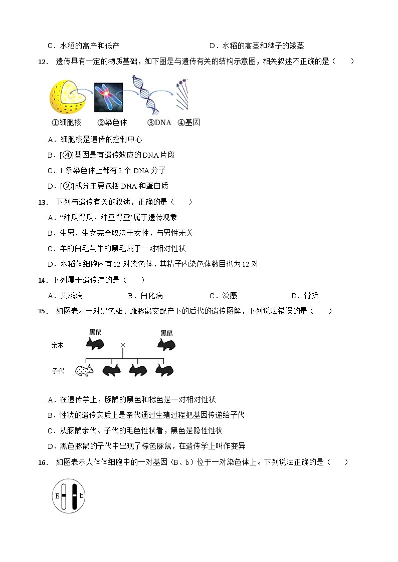 江西省九江市2025年八年级下学期月考生物试题含答案第3页