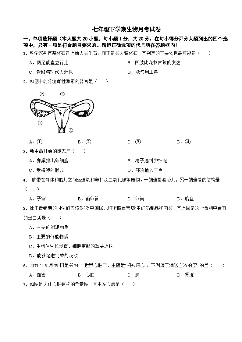 江西省上饶市2025年七年级下学期生物月考试卷含答案第1页