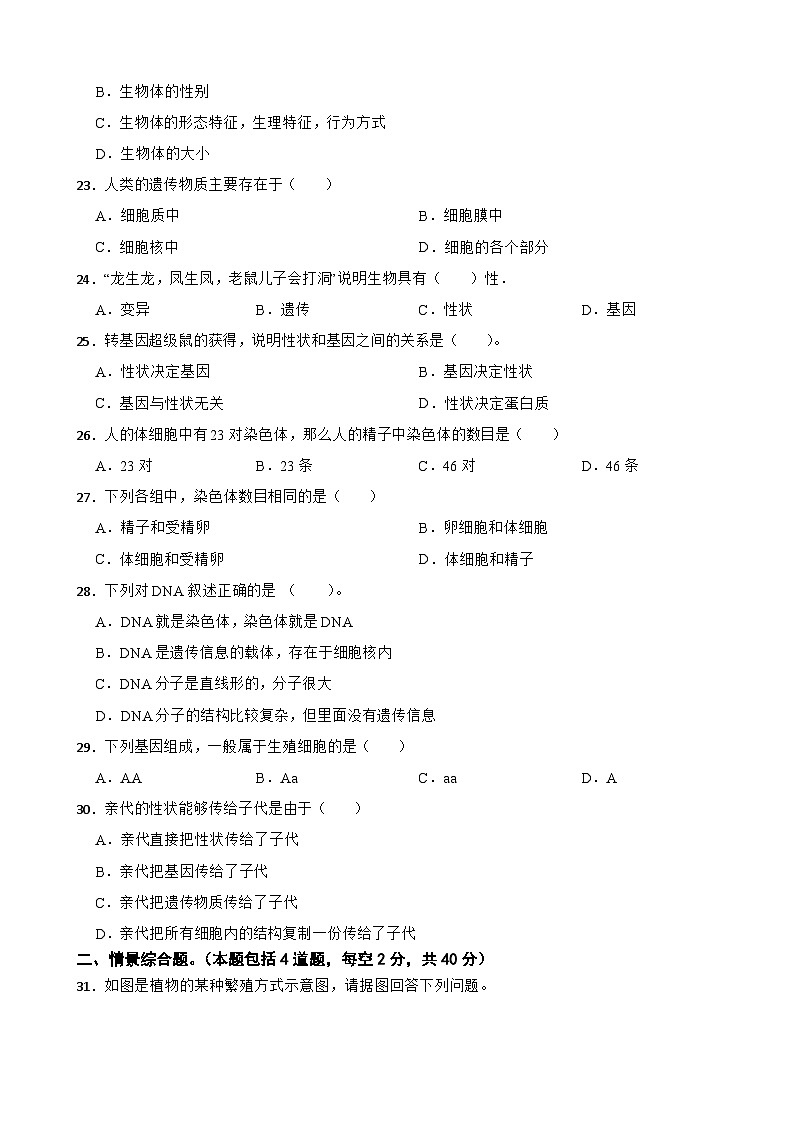 新疆阿克苏地区2025年八年级下学期生物月考试卷含答案第3页