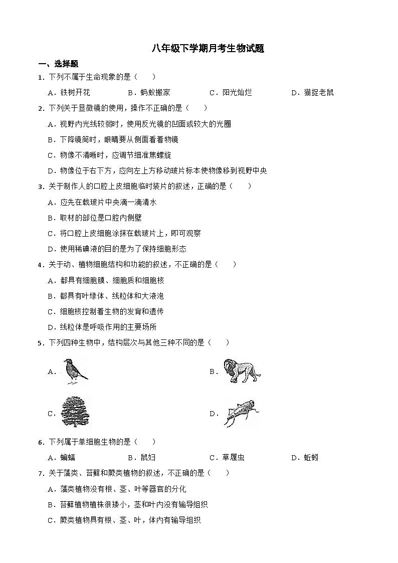 云南省文山2025年八年级下学期月考生物试题含答案第1页