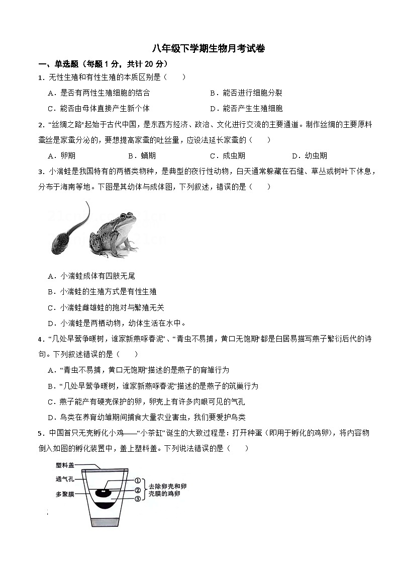 重庆市巴南区市2025年八年级下学期生物月考试卷含答案第1页
