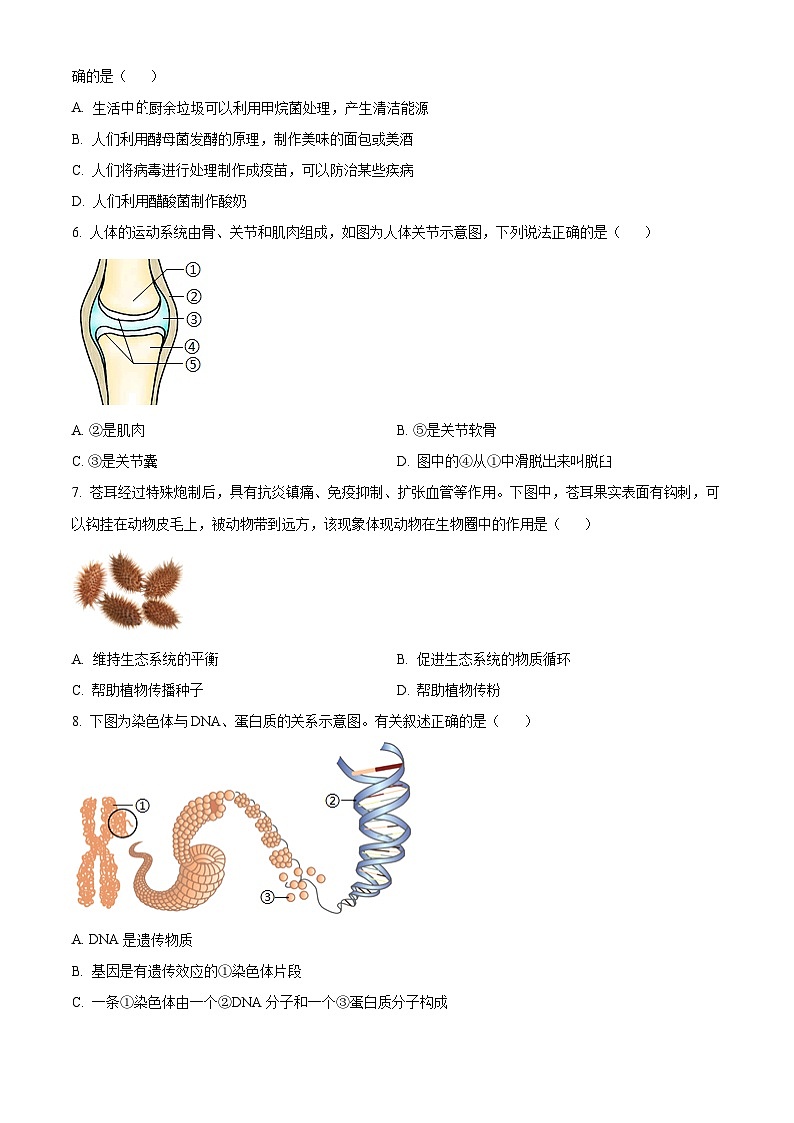 山西省晋中市太谷区2024-2025学年八年级上学期期末生物试题（原卷版+解析版）第2页