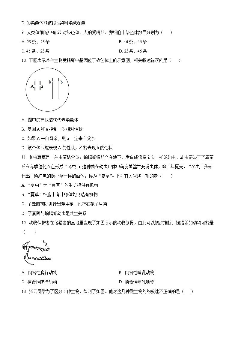 山西省晋中市太谷区2024-2025学年八年级上学期期末生物试题（原卷版+解析版）第3页