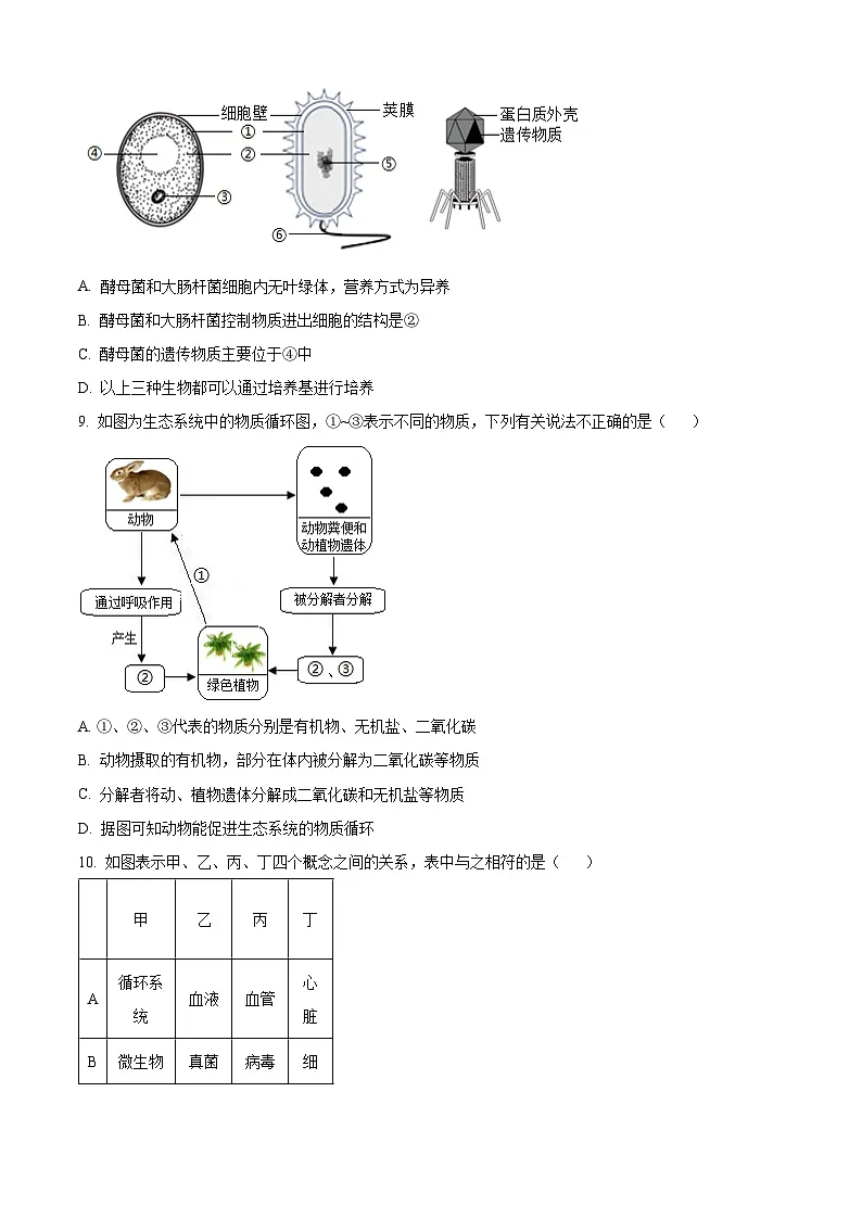 山东省青岛市李沧区2024-2025学年八年级上学期期末生物试题（原卷版+解析版）第3页