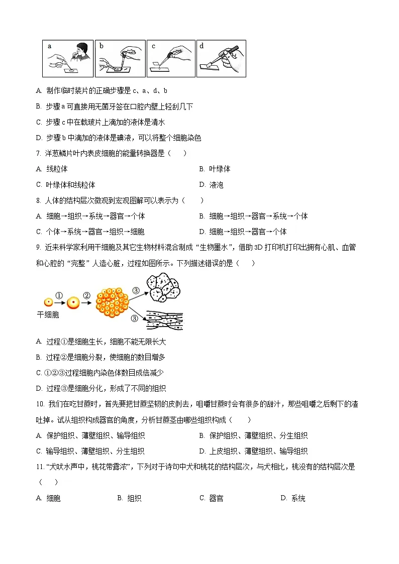 山东省聊城市莘县2024-2025学年七年级上学期期末生物试题（原卷版+解析版）第2页