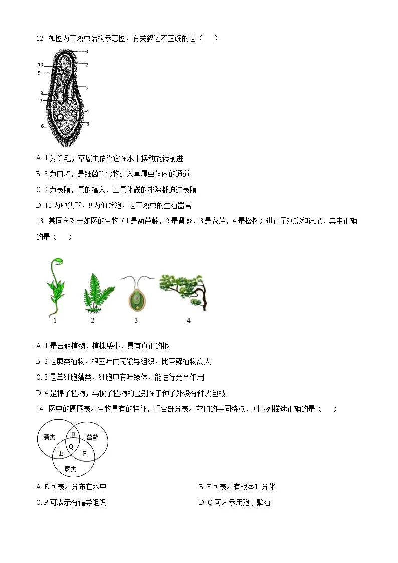 山东省聊城市莘县2024-2025学年七年级上学期期末生物试题（原卷版+解析版）第3页