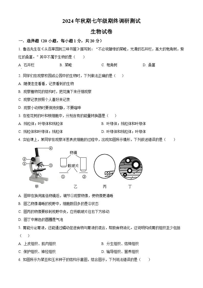 河南省南阳市镇平县2024-2025学年七年级上学期期末生物试题（原卷版+解析版）第1页