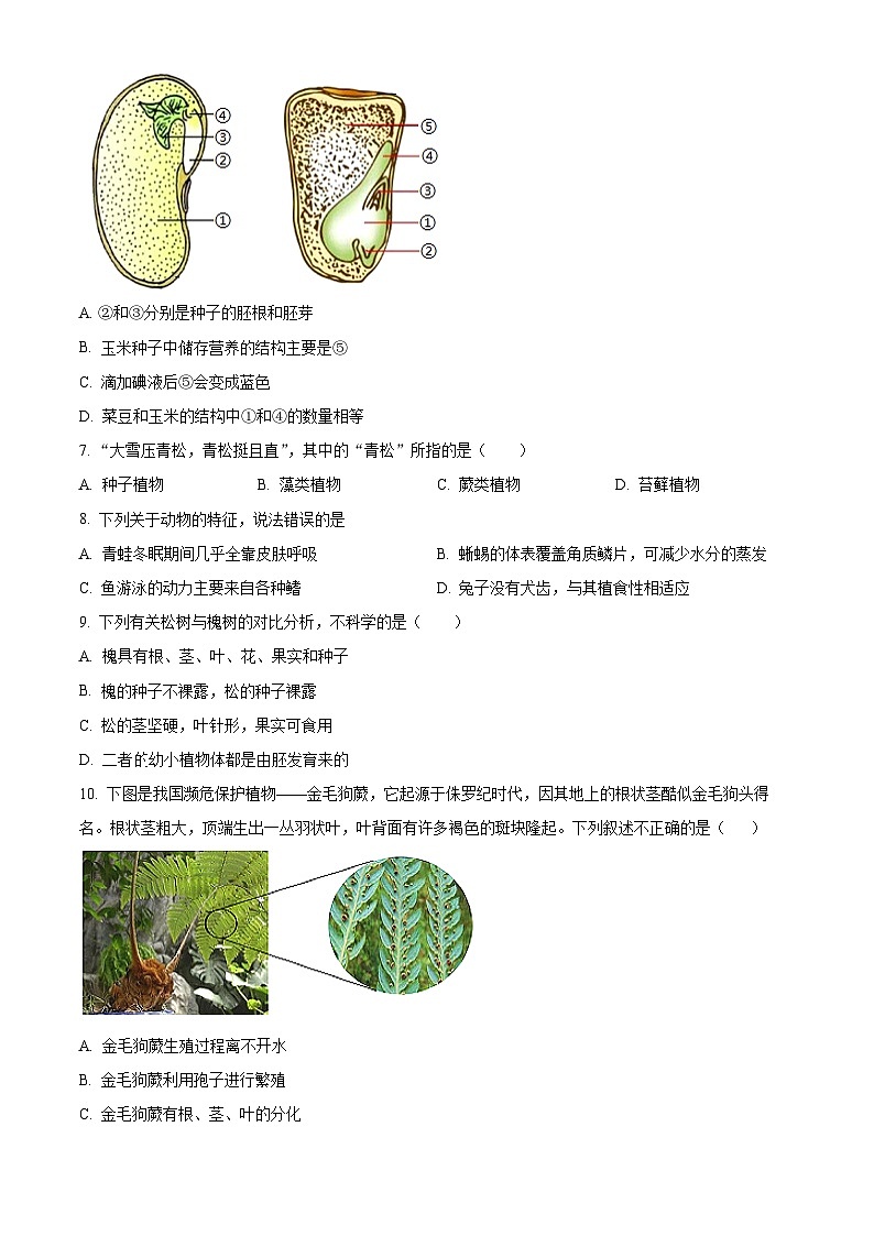 河南省南阳市镇平县2024-2025学年七年级上学期期末生物试题（原卷版+解析版）第2页
