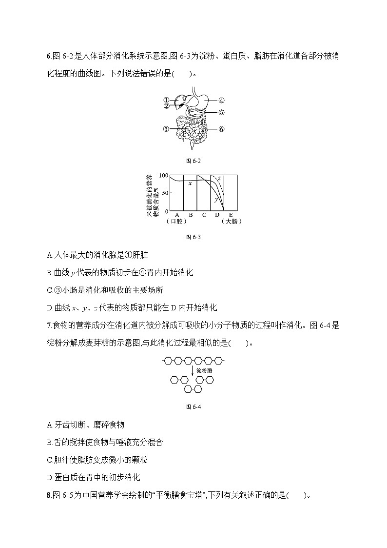 北师大版（2024）生物七年级下册生物第6章《人体的营养》综合素养测试卷（含答案）第2页