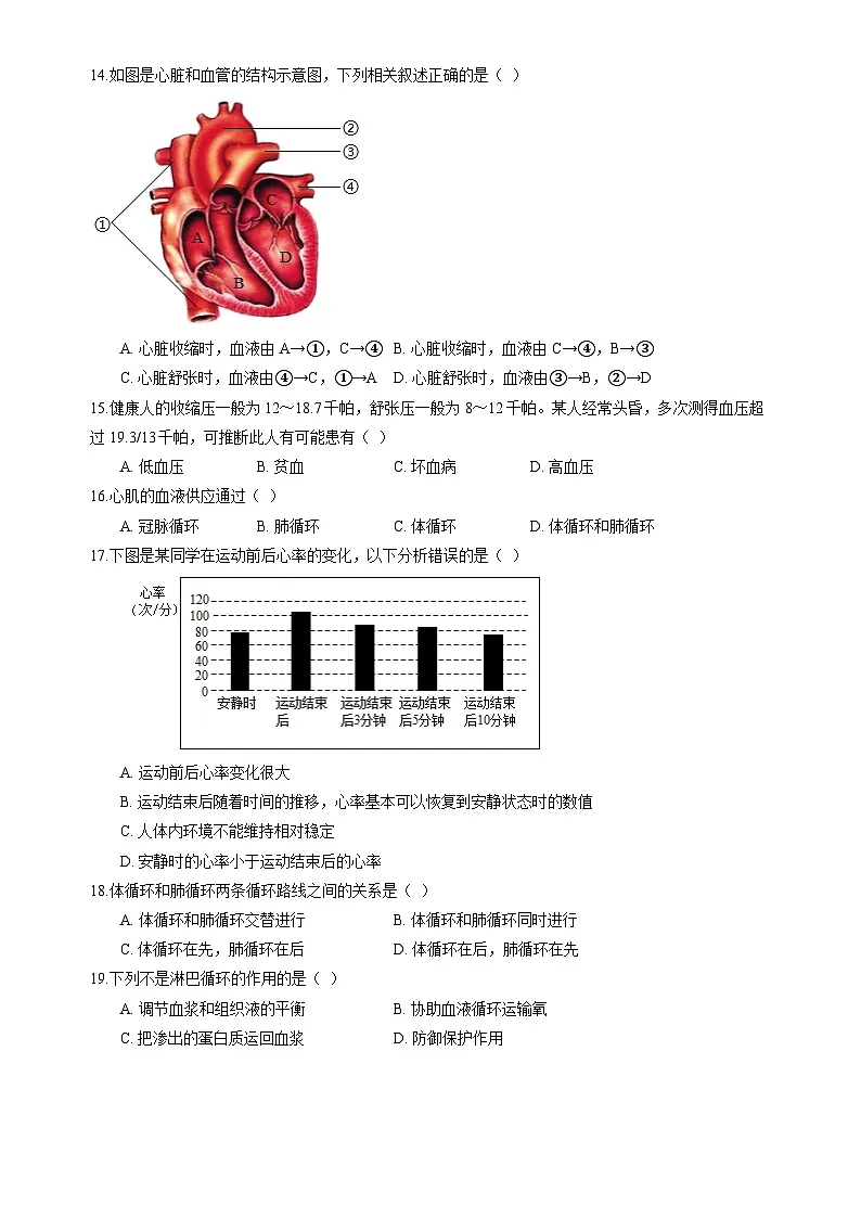 北师大版（2024）生物七年级下册生物第7章《人体的物质运输》综合素养测试卷（含答案解析）第3页