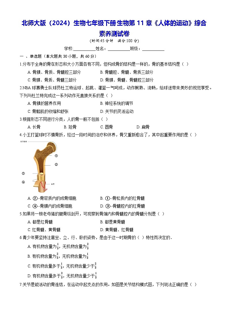 北师大版（2024）生物七年级下册生物第11章《人体的运动》综合素养测试卷（含答案）第1页