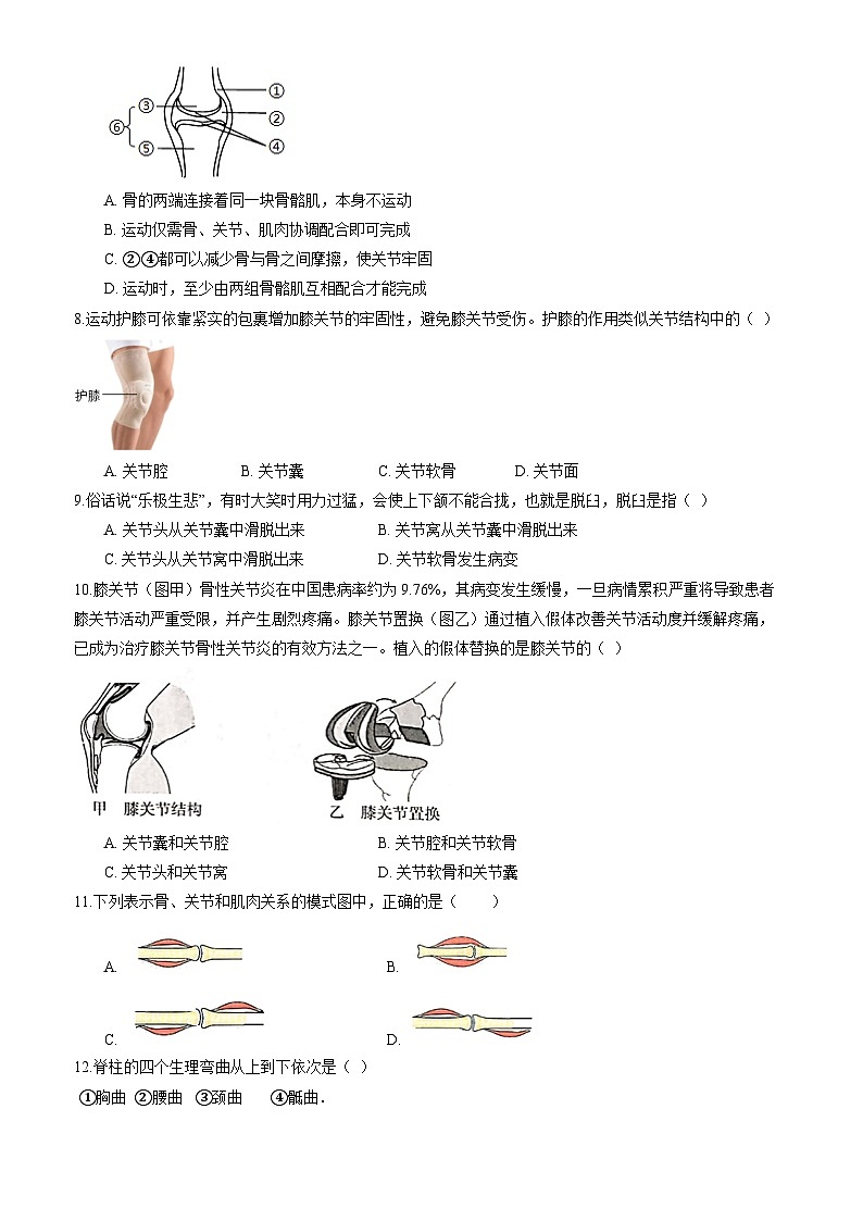 北师大版（2024）生物七年级下册生物第11章《人体的运动》综合素养测试卷（含答案）第2页