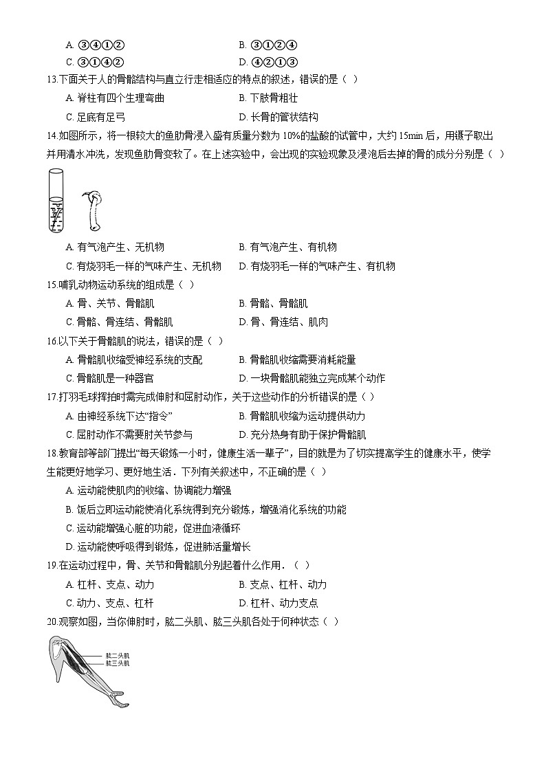 北师大版（2024）生物七年级下册生物第11章《人体的运动》综合素养测试卷（含答案）第3页