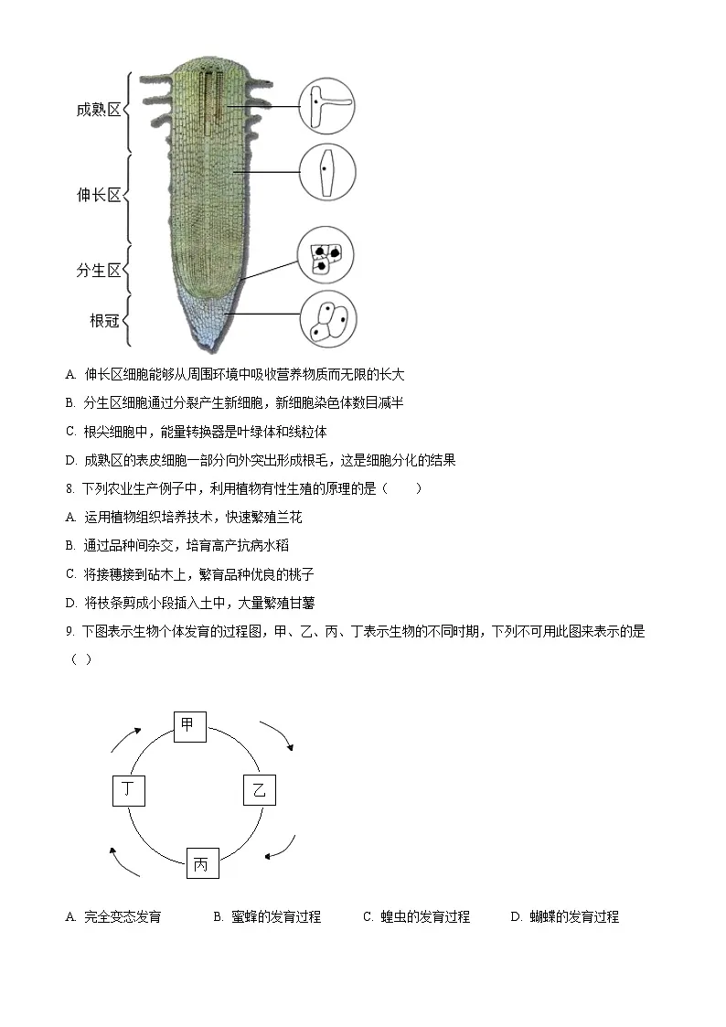 山东省德州市禹城市2024-2025学年八年级上学期期末生物试题（原卷版+解析版）第3页