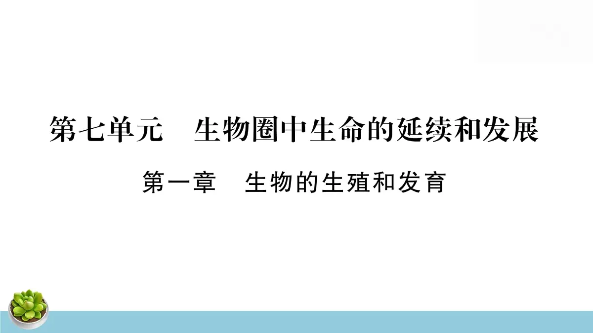 人教版八年级下册生物全册中考复习课件第2页
