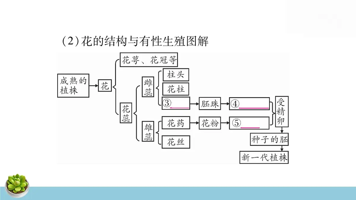 人教版八年级下册生物全册中考复习课件第4页