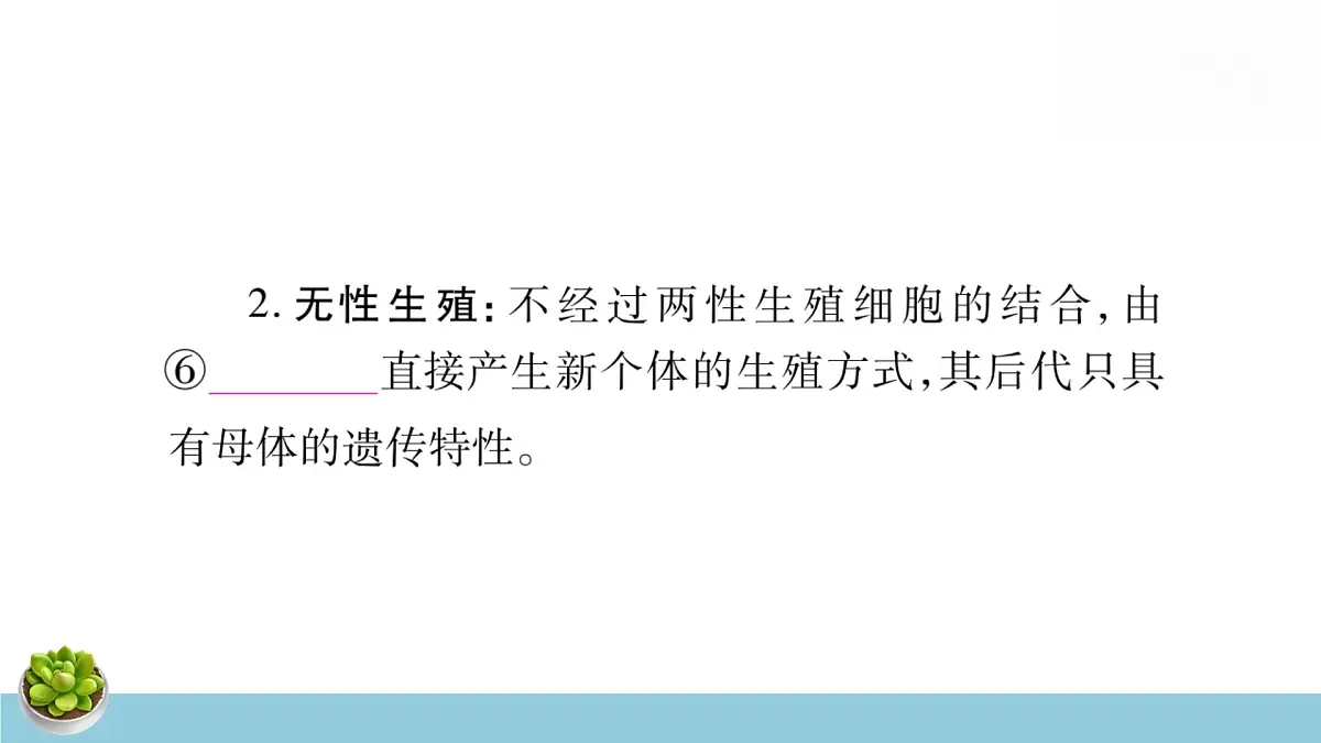 人教版八年级下册生物全册中考复习课件第5页
