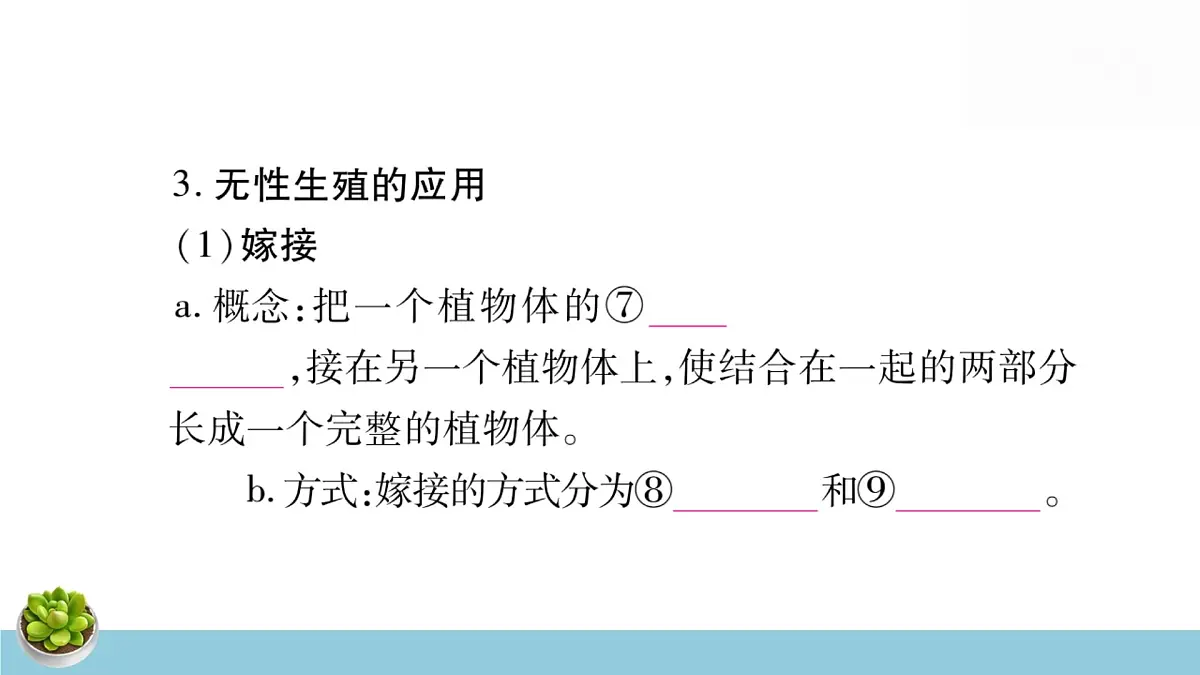 人教版八年级下册生物全册中考复习课件第6页
