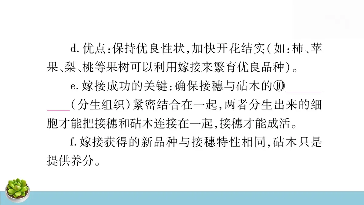 人教版八年级下册生物全册中考复习课件第8页