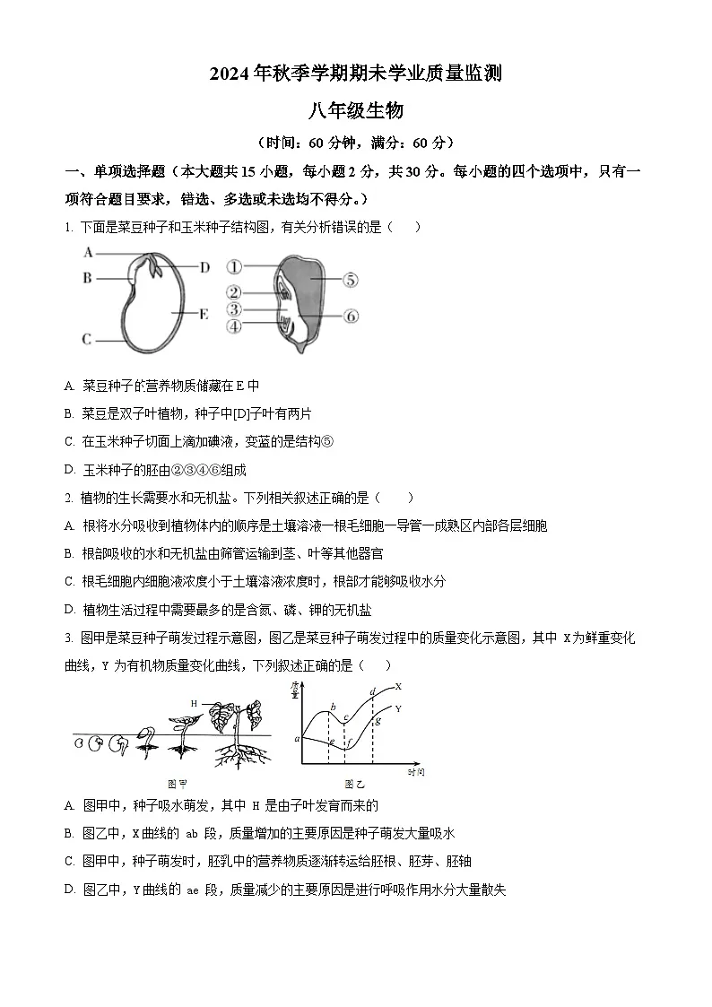 广西钦州市浦北县2024-2025学年八年级上学期期末生物试题（原卷版+解析版）第1页