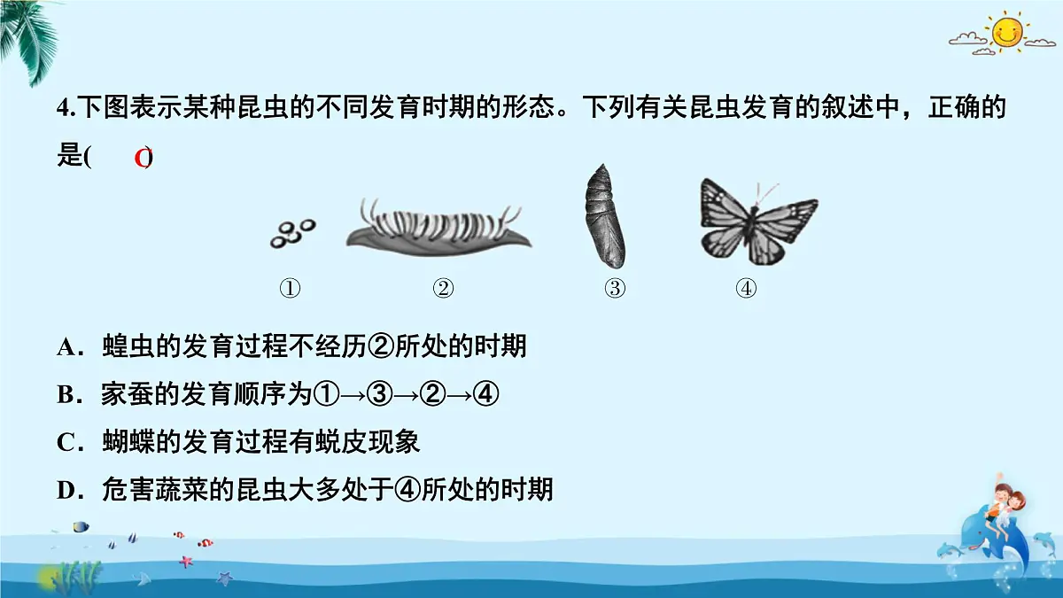 人教版八年级下册生物期中测试卷 课件第4页