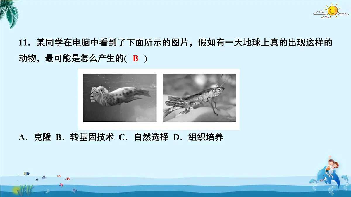 人教版八年级下册生物期中测试卷 课件第8页